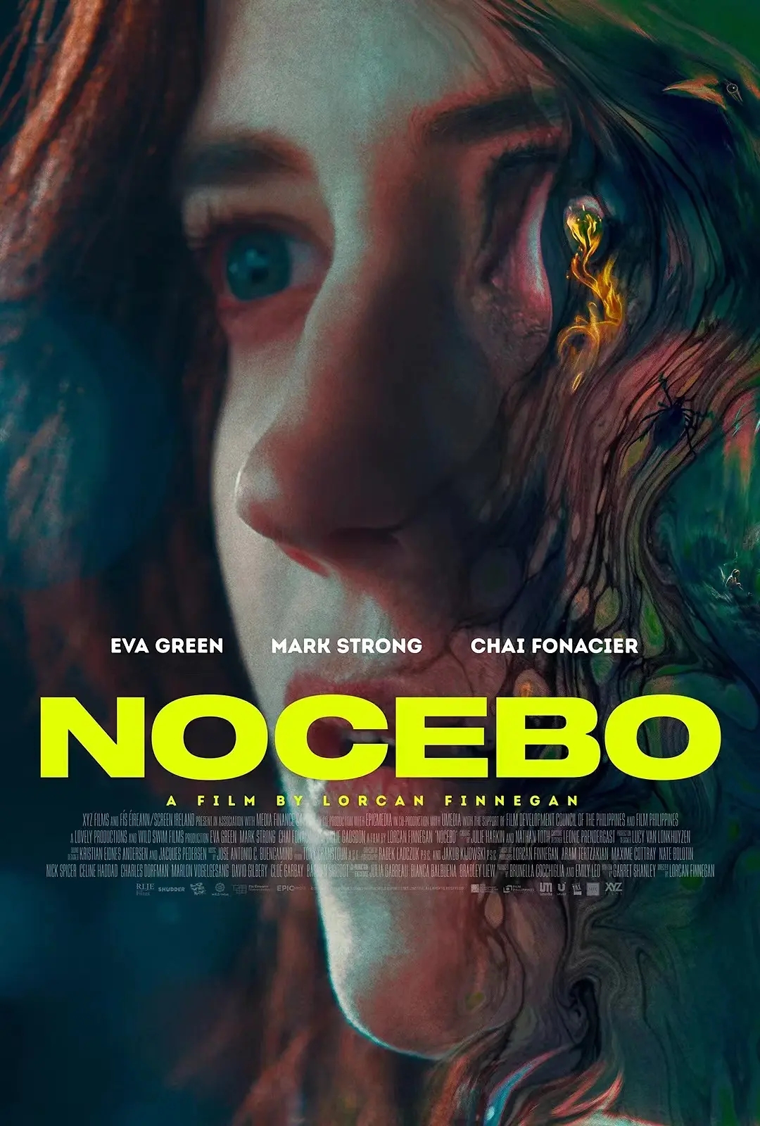 2022[惊悚][反安慰剂/Nocebo]百度云高清下载图片 第1张